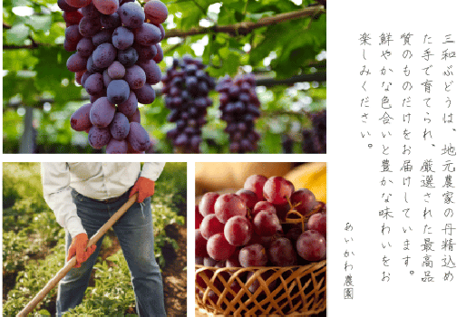タップで詳細を表示
