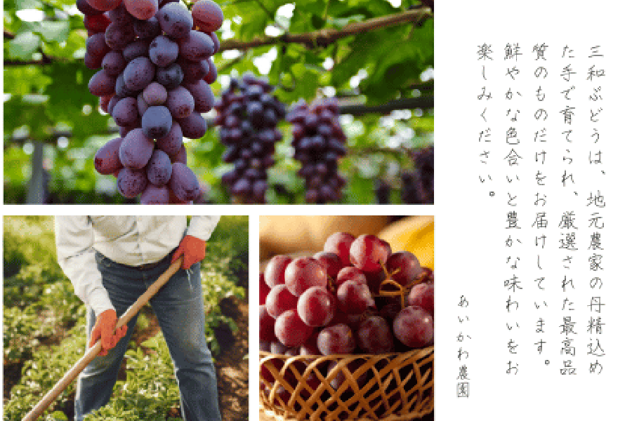 タップで詳細を表示