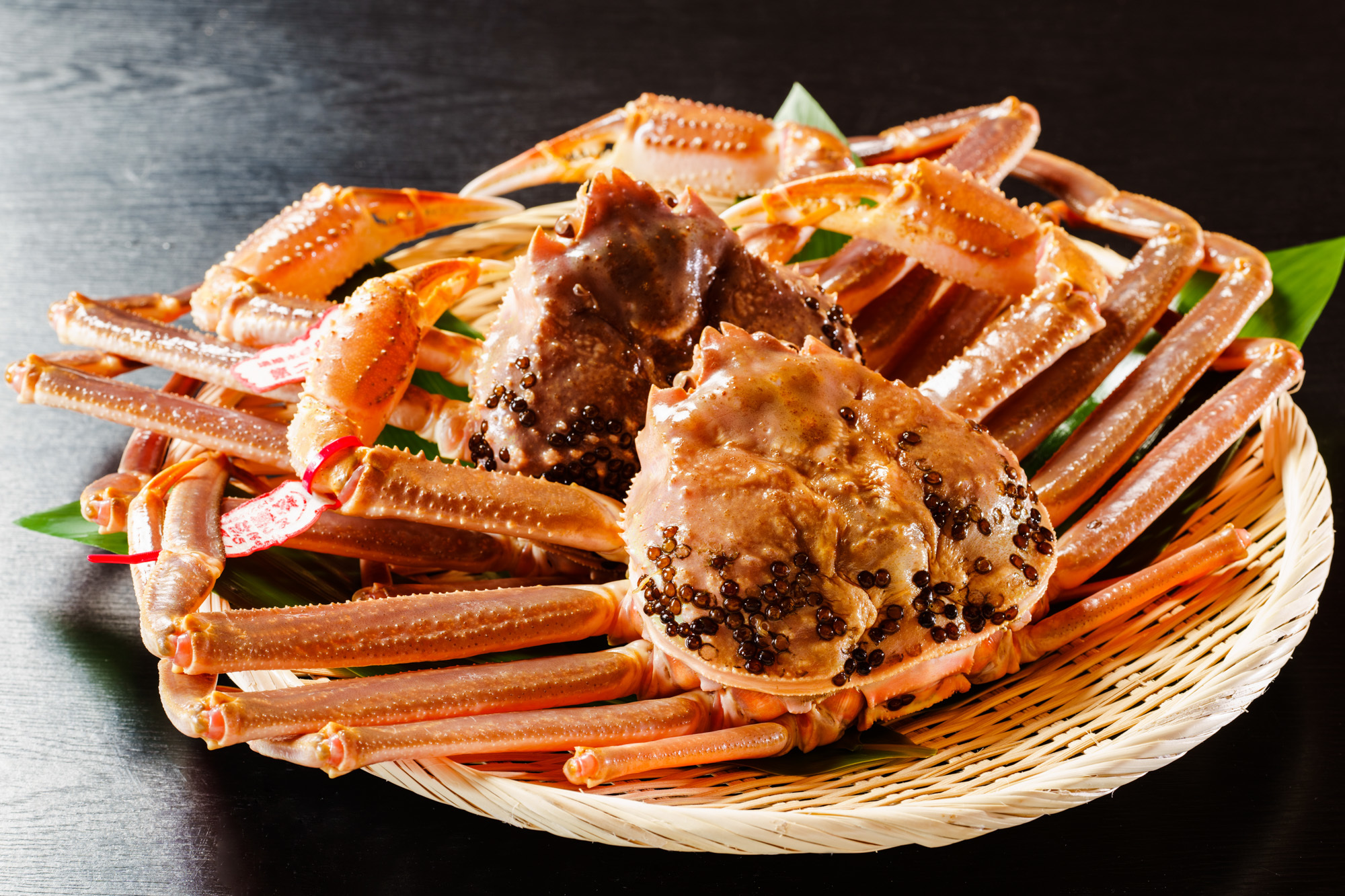 茹で上げの松葉ガニ（湯気と赤の艶）